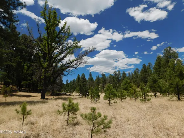 10 N2310, Alpine, AZ 85920