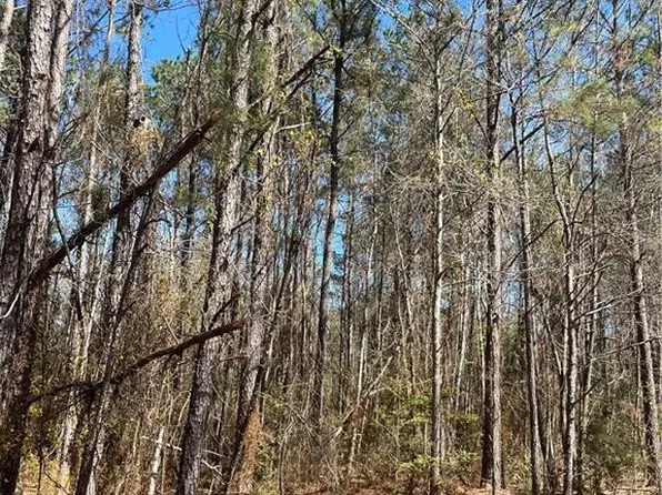 60052 Louise Talley Rd, Bogalusa, LA 70427