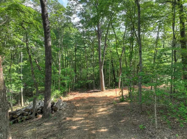 0 Sugar Creek Rd, Blue Ridge, GA 30513