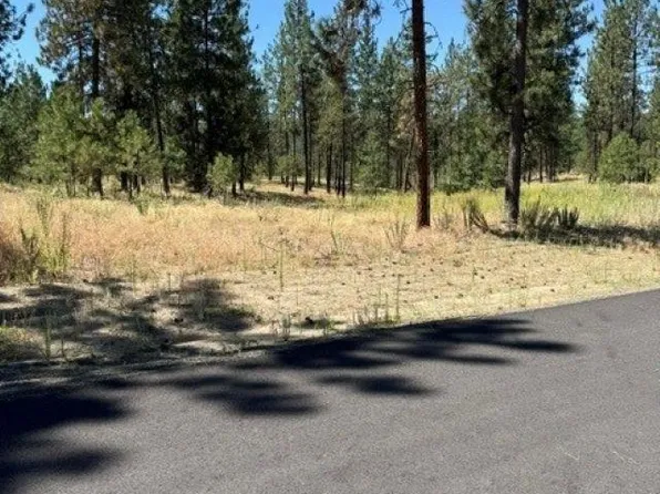 LOT 11 Long Lake Estates Est, Nine Mile Falls, WA 99026
