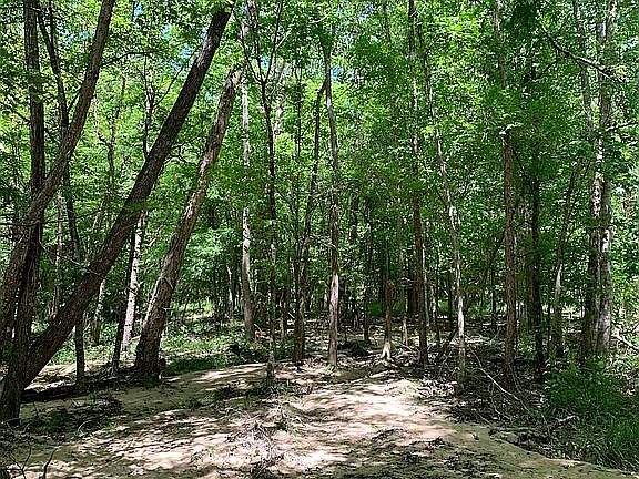 4th image of 753 County Road 1190