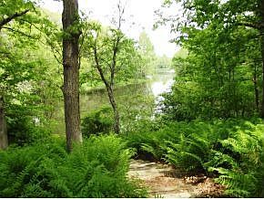 3rd image of N1897 Virginia Dr