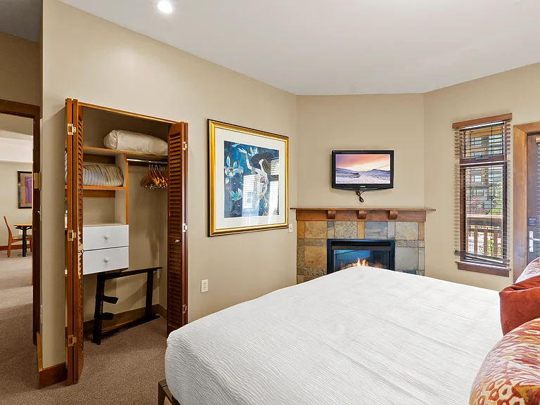 Primary Bedroom / Fireplace