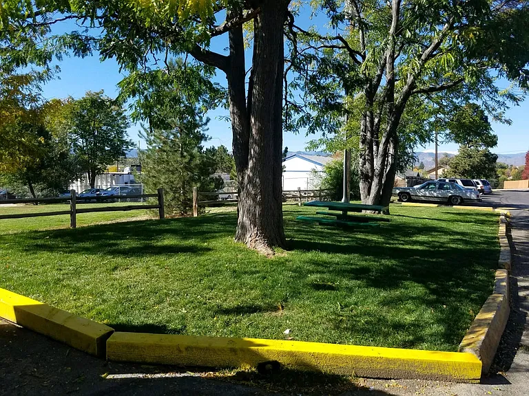 Serene outdoor area with lush green lawn, mature trees, and picnic table, ideal for relaxation and enjoying nature.