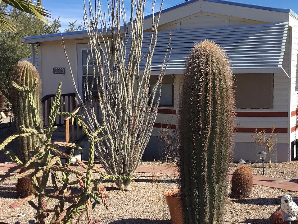 1st image of 1240 Acacia Blvd #124