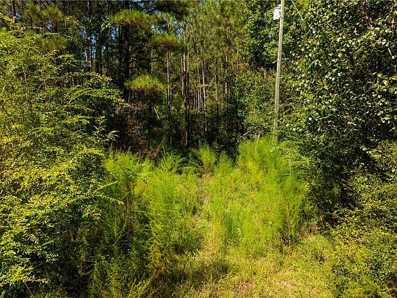 3rd image of 1715 Lena Flatwoods Rd