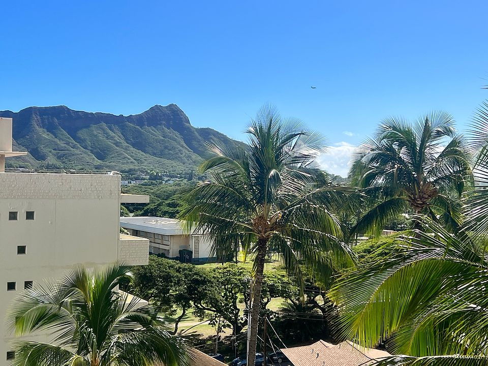 The real view.