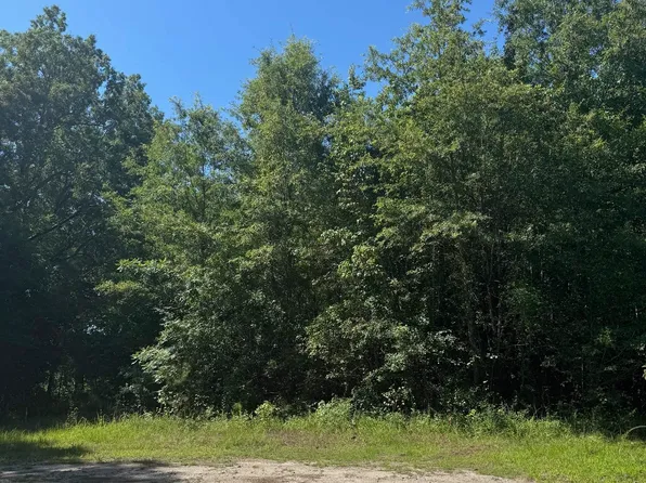 TBD Derrick Ct., Marion, SC 29571