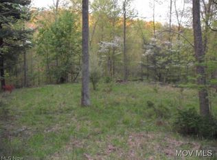 0 Chanteclair Rd, Cairo, WV 26337