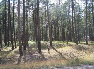 19964 Wissler Ranch Rd, Colorado Springs, CO 80908