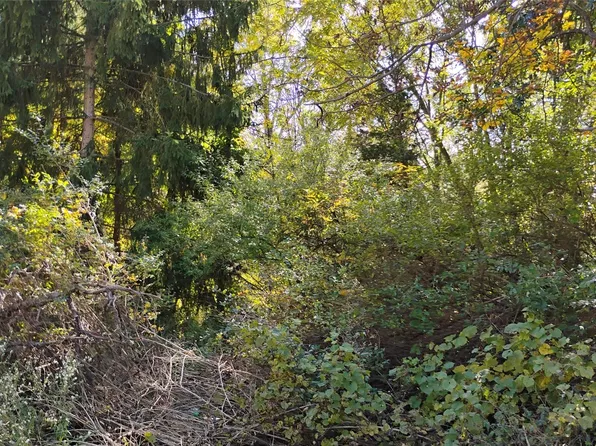 0 Middle Rd, Highland, MI 48357