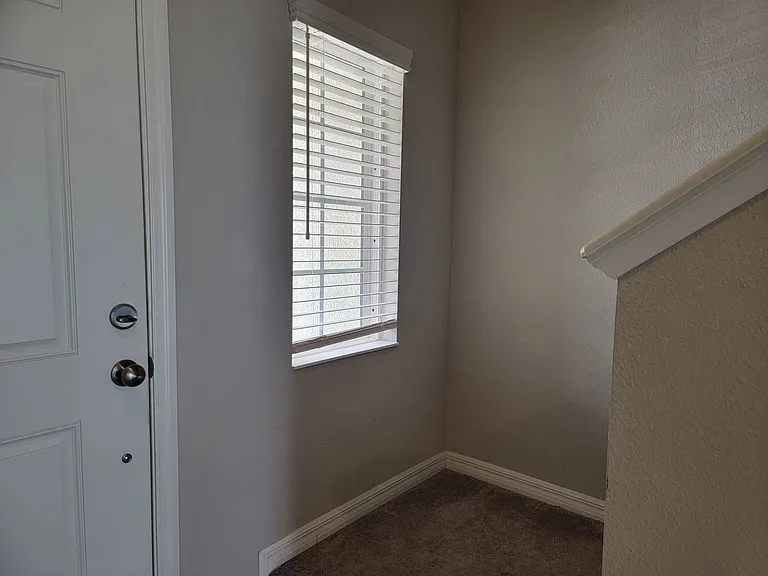 7113 Grand Elm Dr — Photo 3