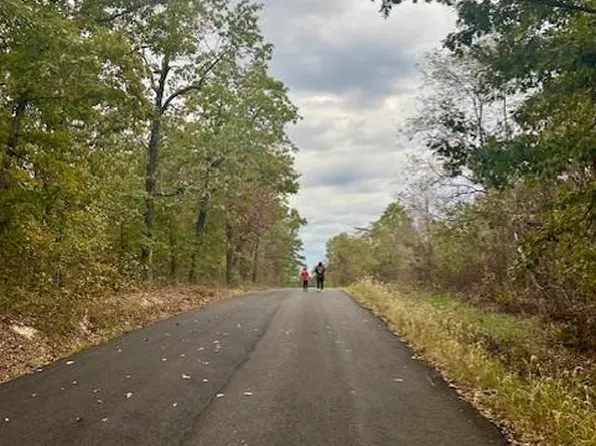 1 Strother Road Aka Harley Crocker Rd, Belleview, MO 63623