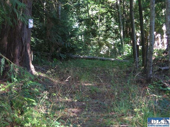 5th image of 000 Highway 101