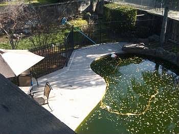 1st image of 3010 Sea Gull Ln