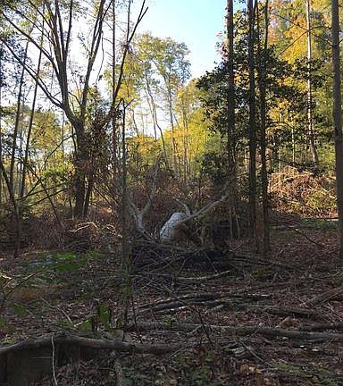 2nd image of 27082 Mary Valinda Ln