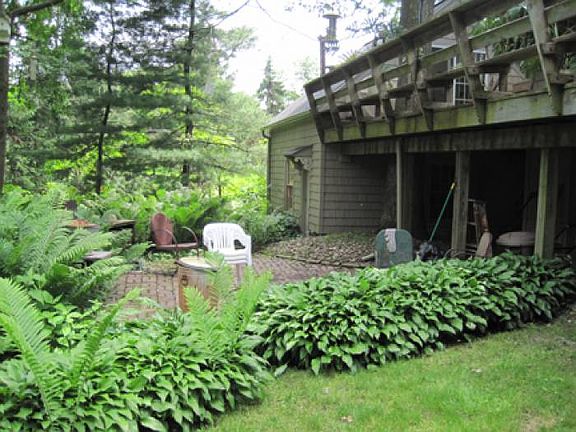 Backyard / Patio