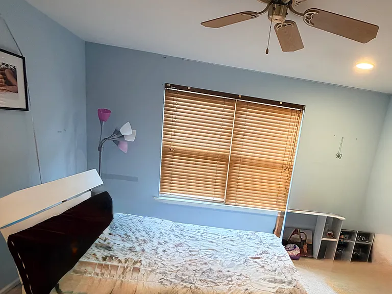 19 Hyde Park Dr — Photo 12