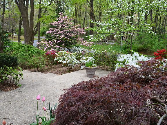 View from kitchen window