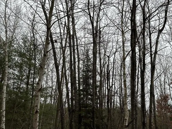 Prairie Lake Rd #4069-6, Tomahawk, WI 54487