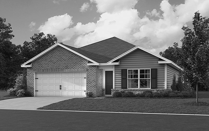 Elevation Image 0.