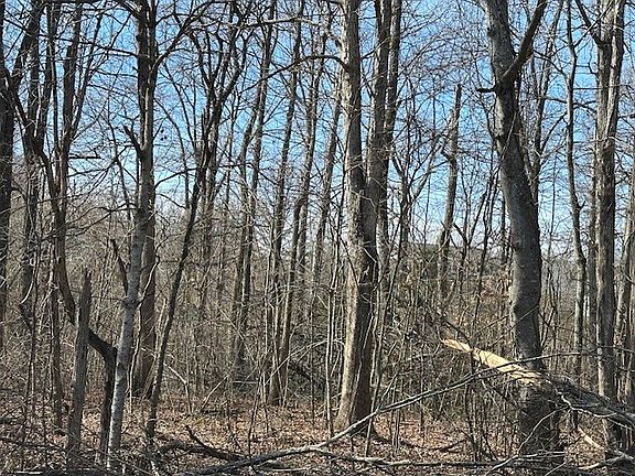 2nd image of 0 Pinewood Rd