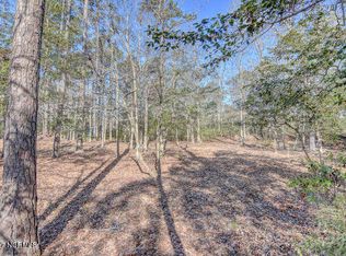 LOT 53 Canvasback Point, Hampstead, NC 28443