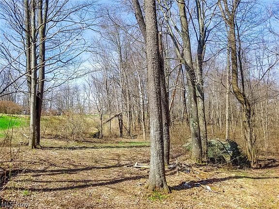 5th image of 17805 Early Cemetary Rd SW