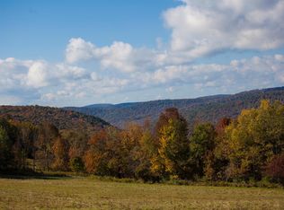 Castleview Rd, Sidney Center, NY 13839