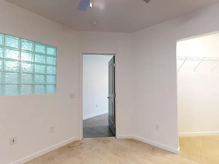 Spacious apartment bedroom with large closet and plush carpet flooring.