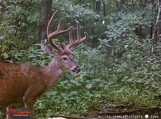 7136 S County Road 100 E, Paoli, IN 47454
