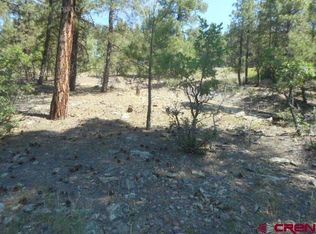 2218 County Road 600, Pagosa Springs, CO 81147