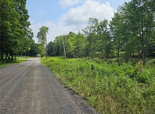 0 Black Creek Rd, Cold Brook, NY 13324