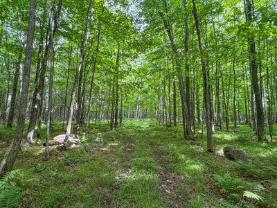 E Dover Rd, Phillips, WI, 54555