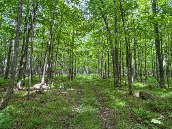 E Dover Rd, Phillips, WI 54555