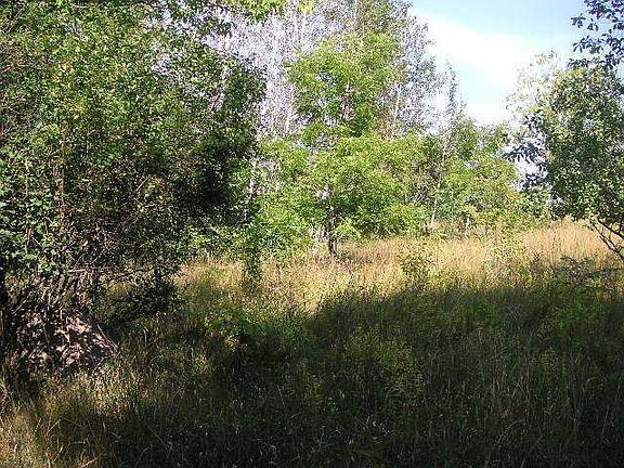 High Dry Lots