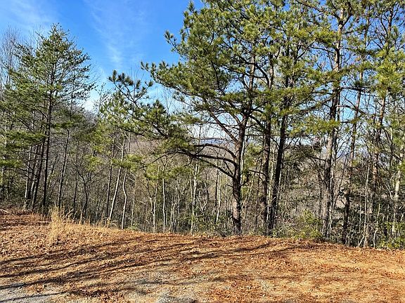 2nd image of 0 Laurel Branch Creek Lots 1 #&-51