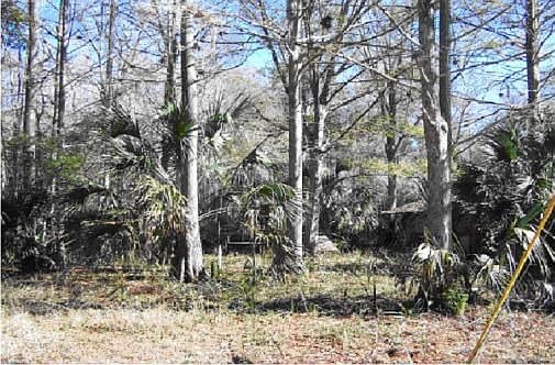 1st image of 15550 NW 42nd Pl