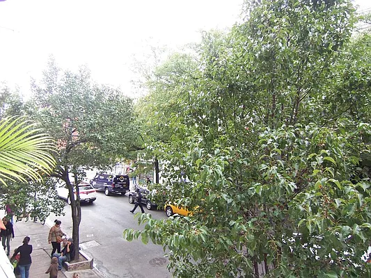 Rented by Town Residential | media 19