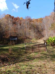 Tbd Hanger Ln, Glade Spring, VA, 24340