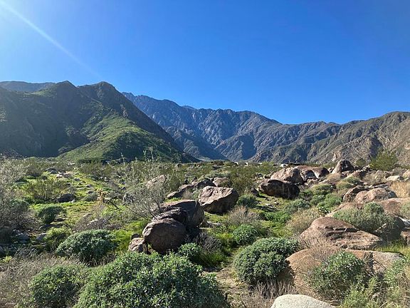 4th image of 2321 Vista Palizada Dr