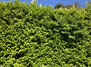 10001 17th Ave NE, Seattle, WA 98125