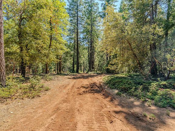 5th image of Gold Creek Trl