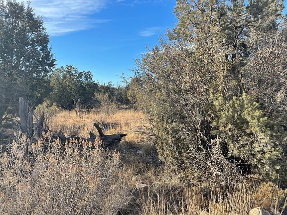 2nd image of 52374 N Via De Oro Pkwy