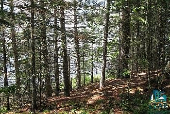 3rd image of xxx Bear Island Lake