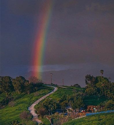 3rd image of 3145 Thomas St