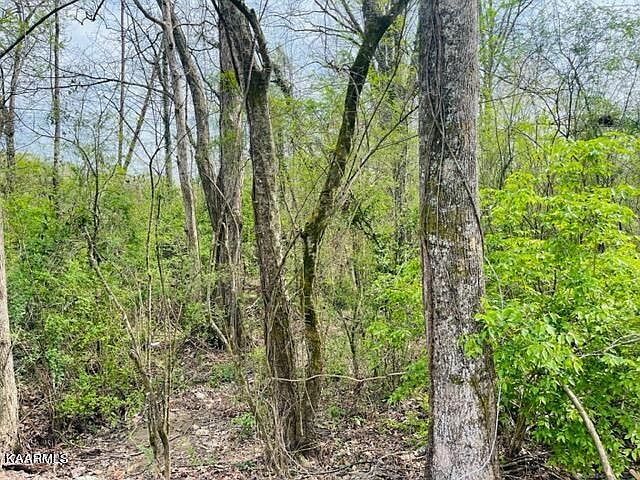 2nd image of Clark Ln