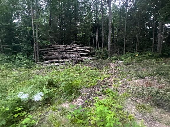 5th image of 6225 N Verlinde Dr