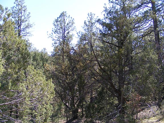 3rd image of 18 Cienega Canyon Rd NE