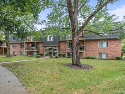 447 Cavalier Ct APT 3-5, West Dundee, IL, 60118